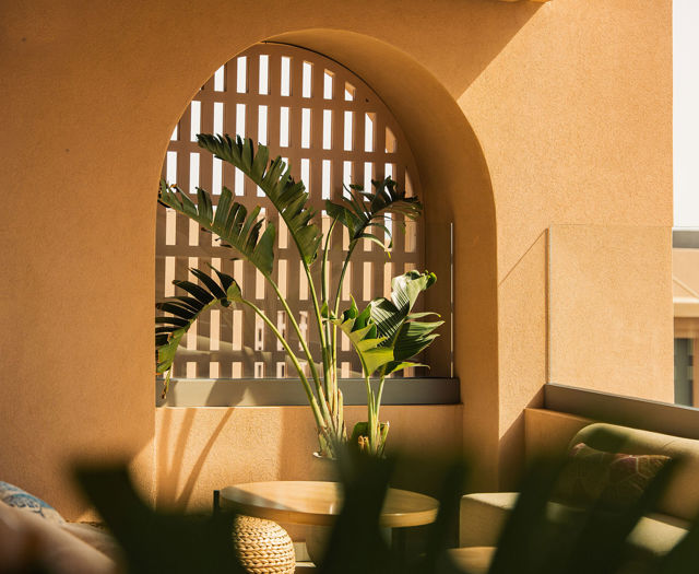 Arched window and green plants in a warm lounge corner bathed in afternoon light